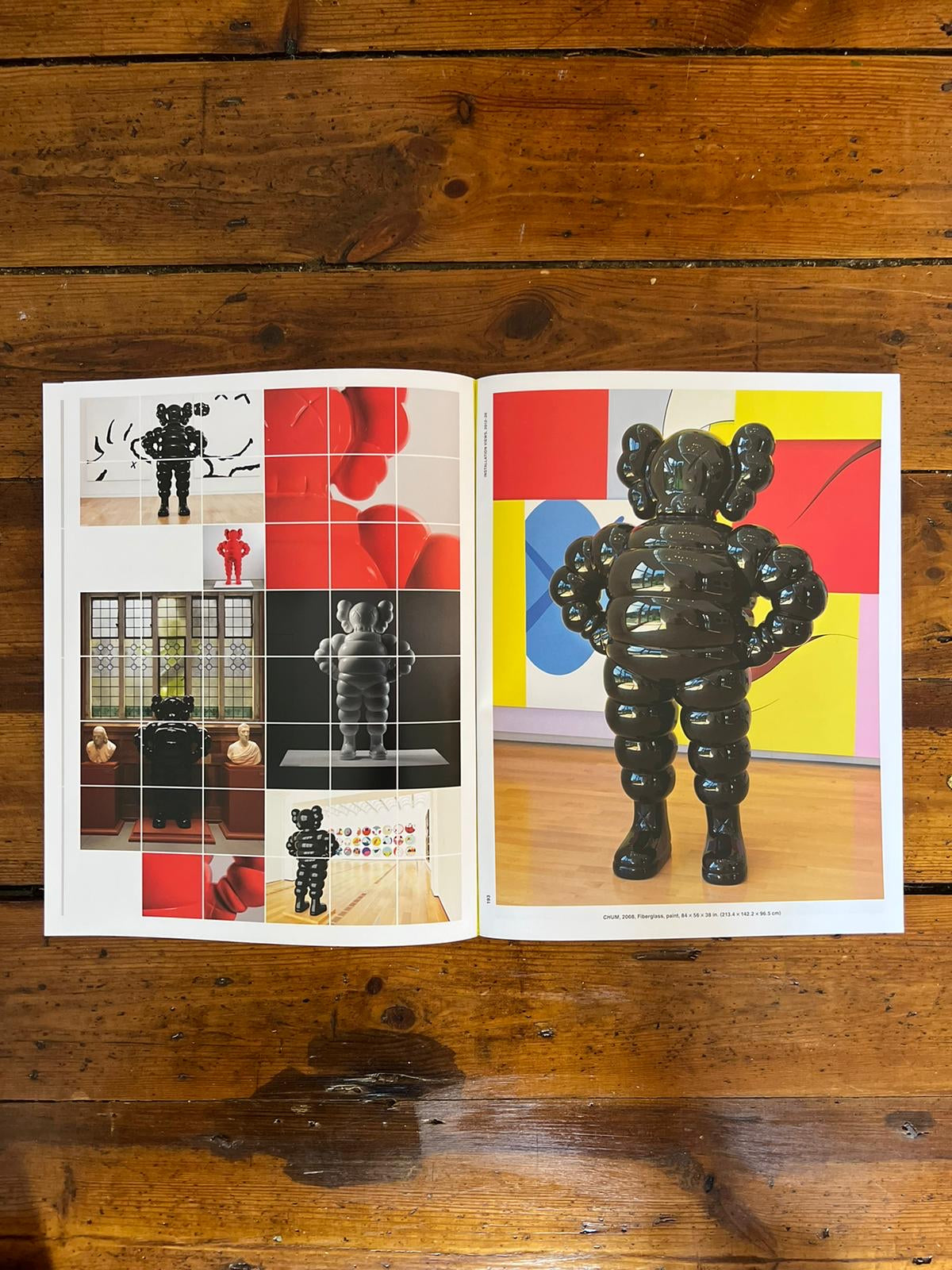 KAWS hardback in case