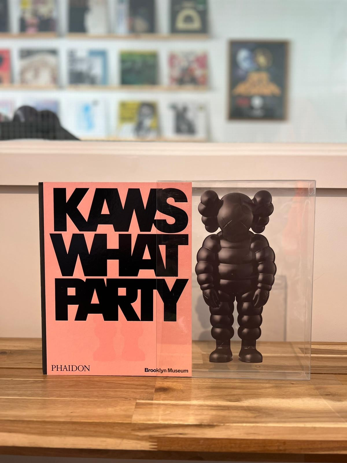 KAWS hardback in case