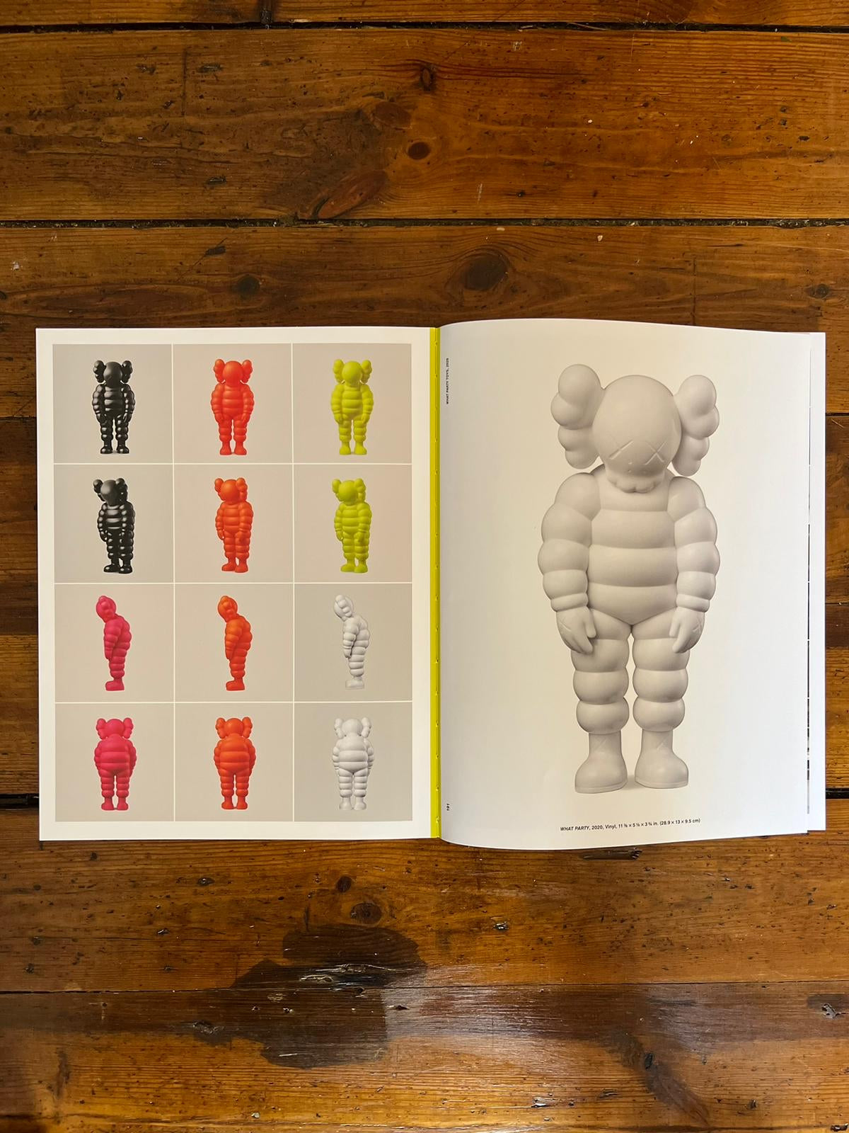 KAWS hardback in case